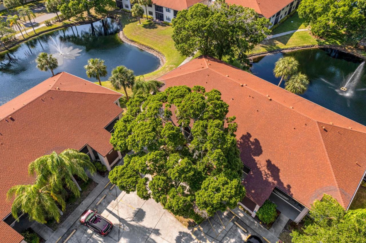 Palm Lagoon Bradenton Eksteriør bilde